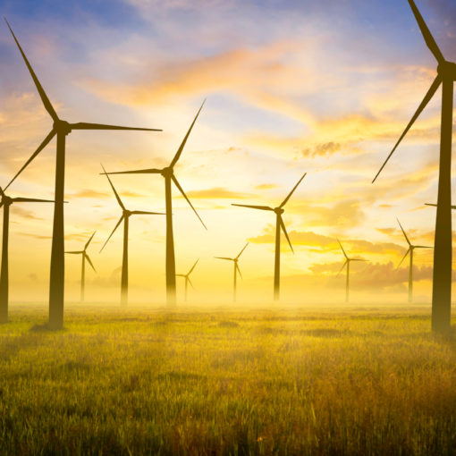 Renewable Energy Wind Farm